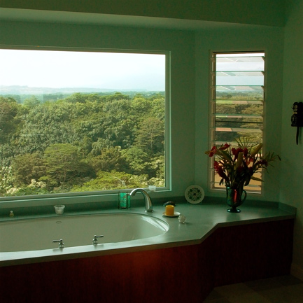This second story Master bathroom features a built-in soaking tub with expansive views of the Wailua Canyon and rolling open lands to the south. Note the jalousies (glass louvers) that allow for natural ventilation.